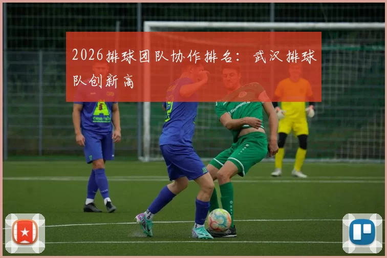 2026排球团队协作排名：武汉排球队创新高