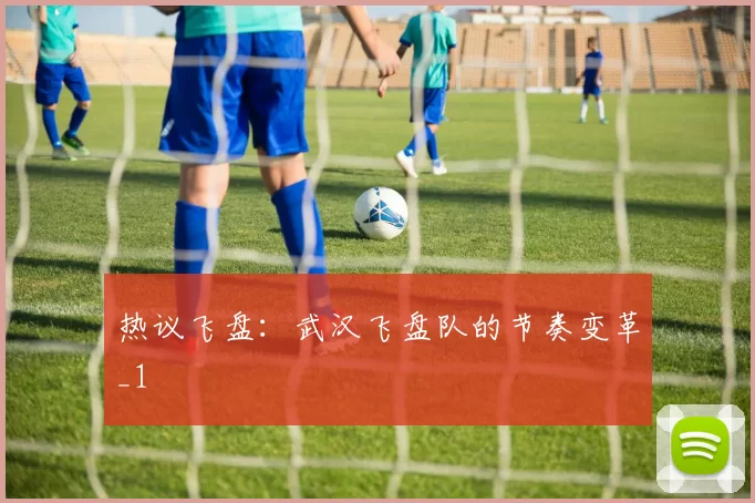 热议飞盘：武汉飞盘队的节奏变革_1