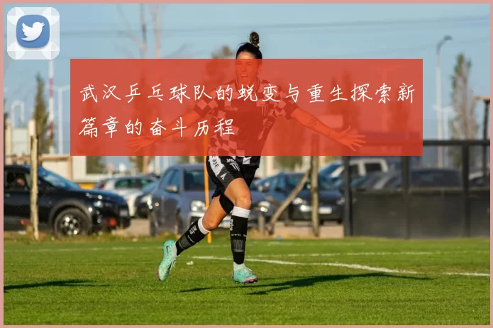 武汉乒乓球队的蜕变与重生探索新篇章的奋斗历程