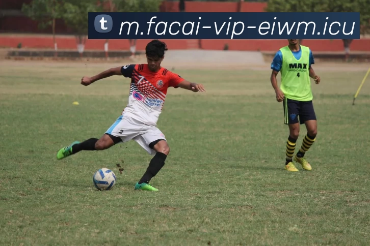 米兰体育平台生态图